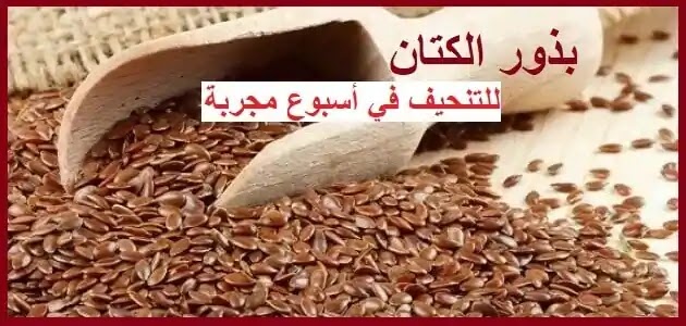 ريجيم بذرة الكتان - ريجيم بذرة الكتان الصحي 772 2