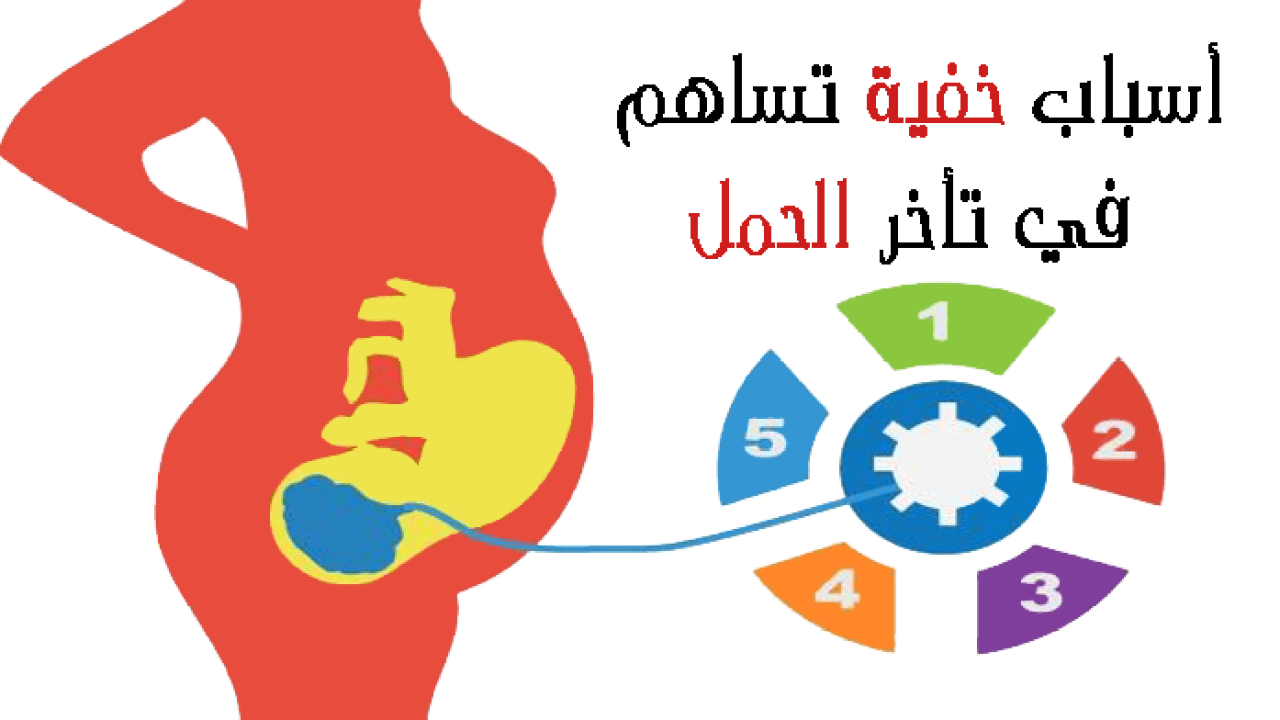 عند تاخر حملك برجاء وضع استفسارك هنا , كل الاستفسارات الخاصة بتاحر الحمل هنا