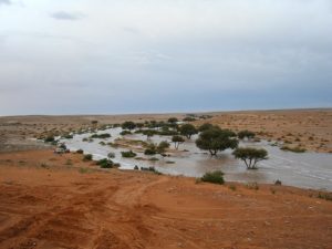 متعوا الانظار بصور البرد الامطار من مناطق في المملكة