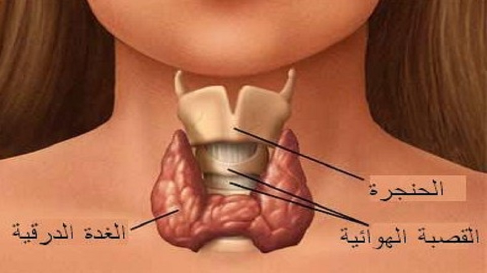 الي فيهم كسل في الغده الدرقيه وش الاعراض تكفون