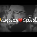 Dumooa Tahseen – Al Hawa Al Hab (Exclusive) |دموع تحسين - الهوى الهاب  (حصريا) |2019 - YouTube